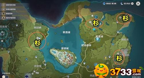 原神杉木在哪多-杉木位置