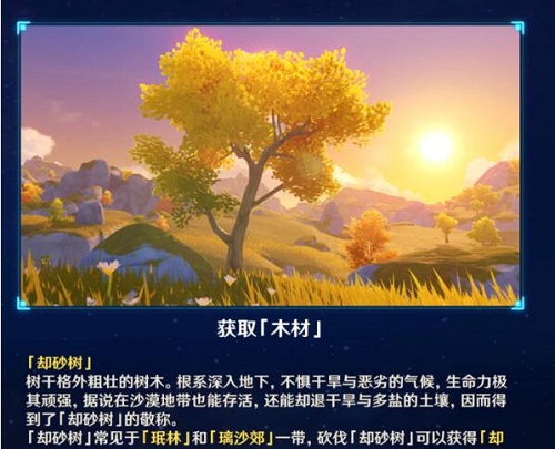 原神却砂木哪里多 却砂木位置分布大全