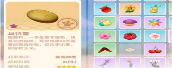摩尔庄园手游马铃薯怎么获取-马铃薯获取方法