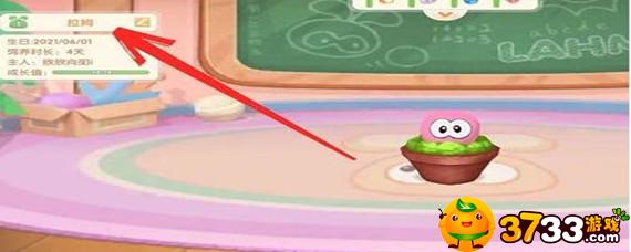 摩尔庄园手游拉姆怎么改名字-拉姆改名字方法