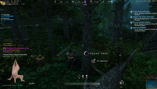 《新世界》聊天系统存在安全漏洞 会让玩家游戏崩溃