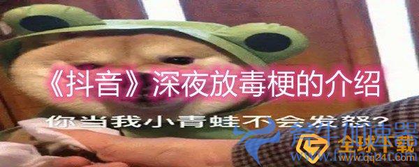 《抖音》深夜放毒梗的介绍