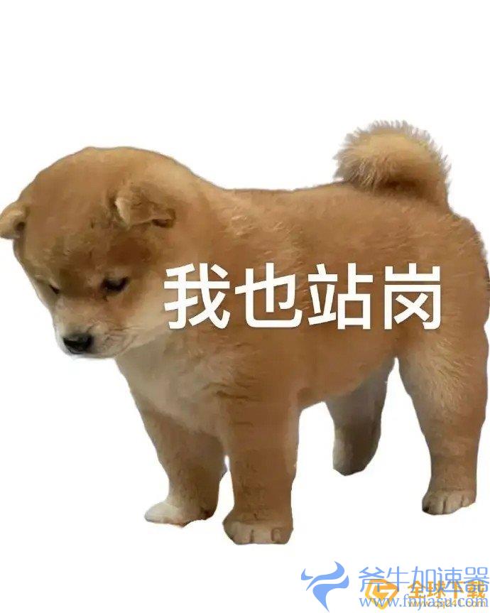 《抖音》站岗小狗表情包分享