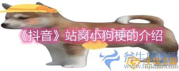 《抖音》站岗小狗梗的介绍