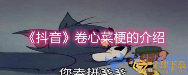 《抖音》卷心菜梗的介绍