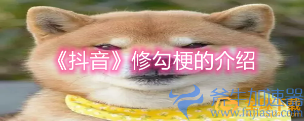 《抖音》修勾梗的介绍