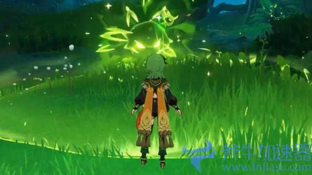 原神柯莱培养推荐