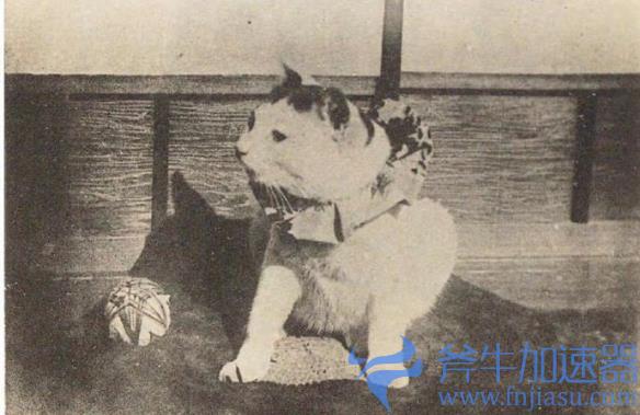 50年代的美女们，躲过刺杀后的笑容！珍贵的老照片！