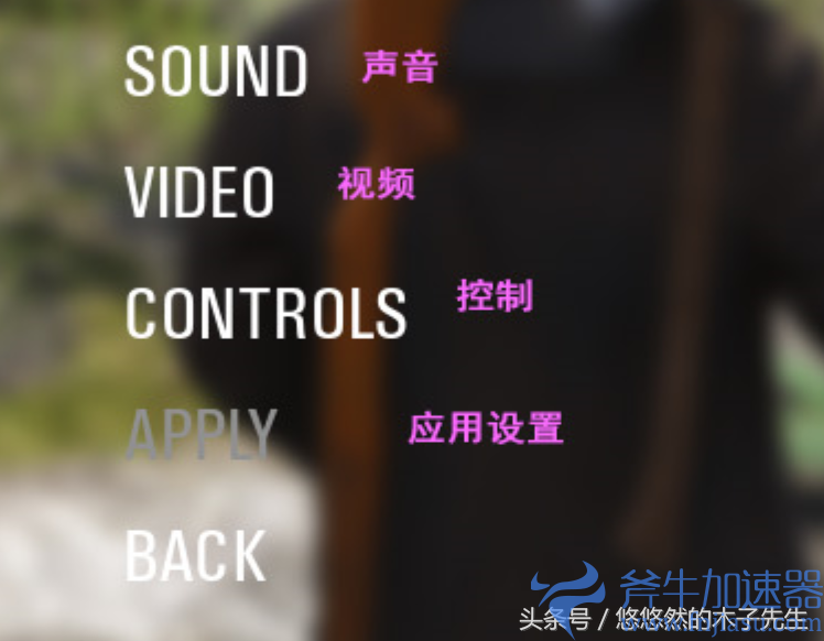 scum设置翻译（scum英文设置翻译）(人渣scum设置翻译)