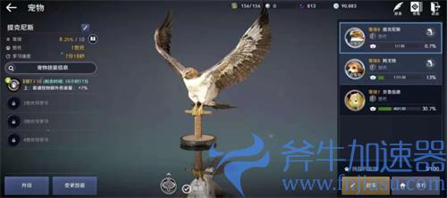 黑色沙漠手游鹰的痕迹位置介绍 宠物鹰获取攻略