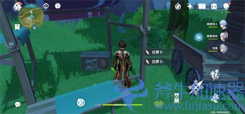 原神白萝卜在哪里采集 白萝卜分布位置详解