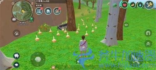 创造与魔法炸洋葱圈怎么做 食物配方介绍