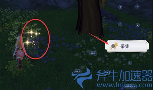 玛娜希斯回响碧波中的水生物任务攻略