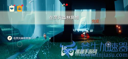 光遇荧光森林冥想04