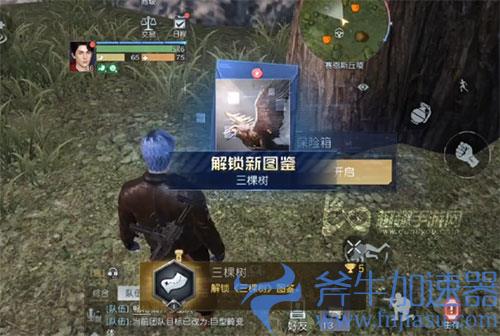 黎明觉醒藏宝图三棵树03