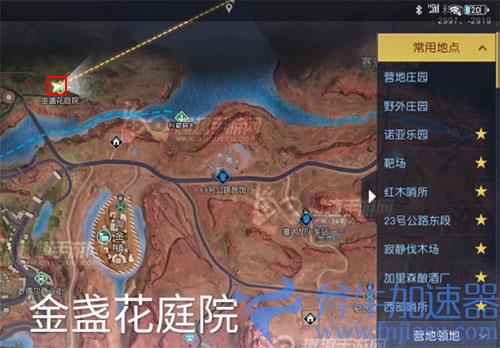 黎明觉醒打卡金盏花庭院