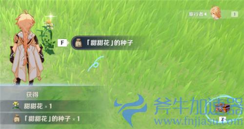原神种子怎么获得 种地用的植物种子获取方法