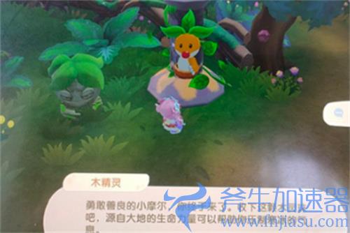 摩尔庄园手游木灵珠怎么获得 获取方法介绍