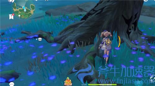 原神医樱雷樱树位置总览 5颗雷樱树在哪