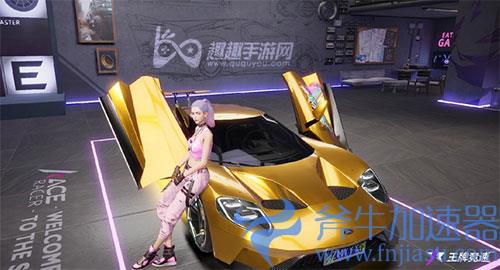 王牌竞速福特gt