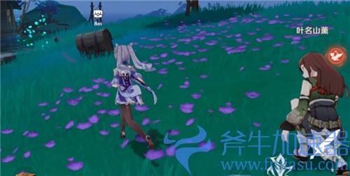 原神一袋花种有什么用 花种子任务道具给谁