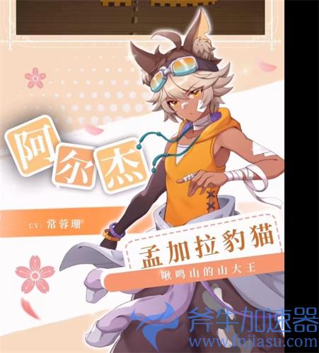 猫灵相册有没有男的 有男角色吗