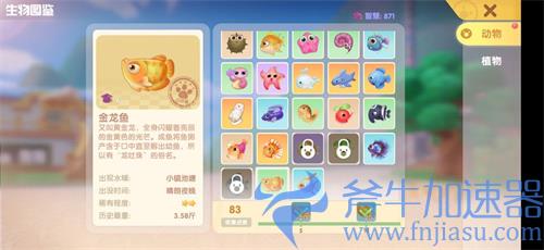 摩尔庄园金龙鱼在哪钓 什么时候出现时间