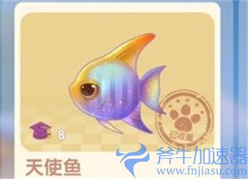摩尔庄园天使鱼有什么用 天使鱼作用介绍