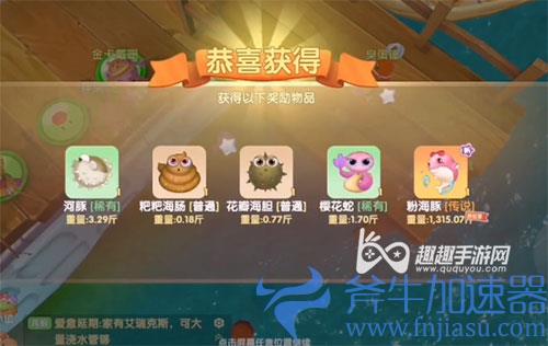 摩尔庄园粉海豚