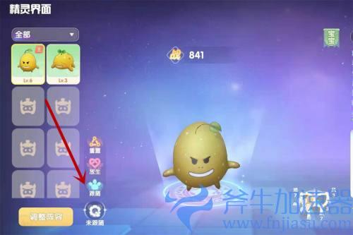 摩尔庄园勇士怎么携带精灵 教你带精灵战斗