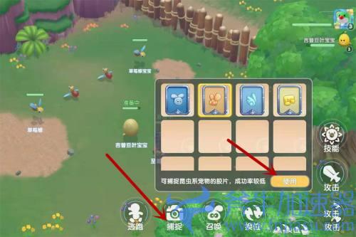 摩尔庄园魔法师怎么捕捉精灵 法师抓宠物方法