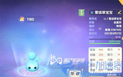 摩尔庄园雪绒草