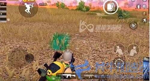 和平精英老六是什么意思03