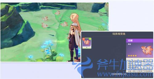 原神钓鱼有什么用