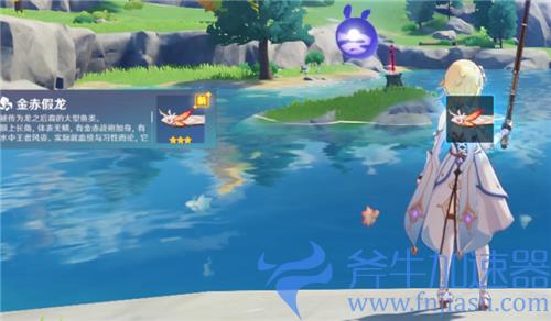 原神金赤假龙在哪钓 具体钓鱼点位置介绍