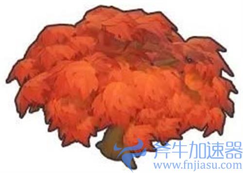 摩尔庄园枫树种子怎么获得 在哪里购买