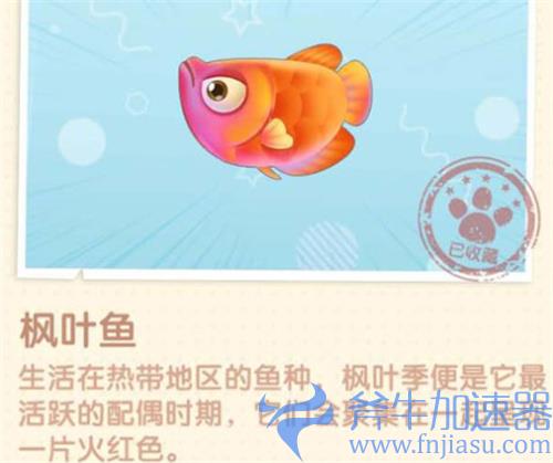 摩尔庄园枫叶鱼怎么钓 枫叶鱼在哪里钓