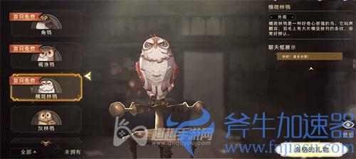 哈利波特魔法觉醒猫头鹰有什么用01