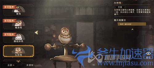 哈利波特魔法觉醒猫头鹰有什么用02