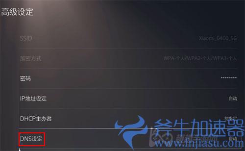 ps5dns怎么设置04