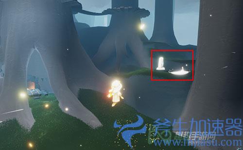 光遇雨林树林高处冥想08