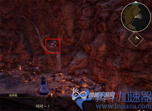 破晓传说猫头鹰位置04