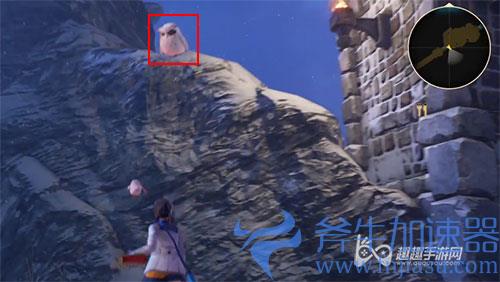 破晓传说猫头鹰位置19