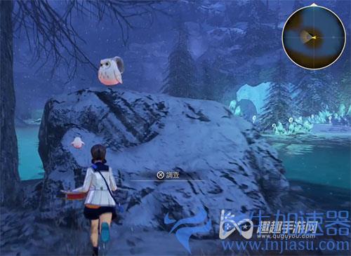 破晓传说猫头鹰位置23