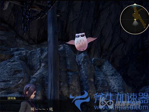 破晓传说猫头鹰位置25