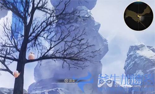 破晓传说猫头鹰位置29