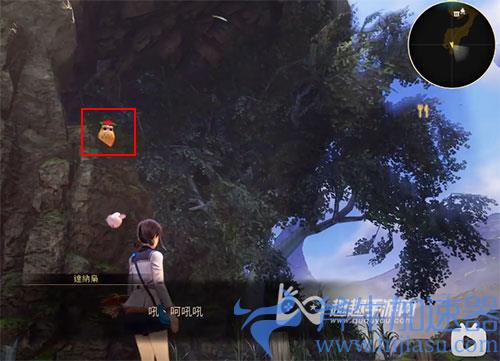 破晓传说猫头鹰位置31