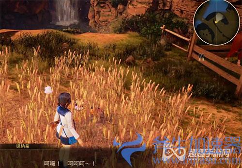 破晓传说猫头鹰位置33