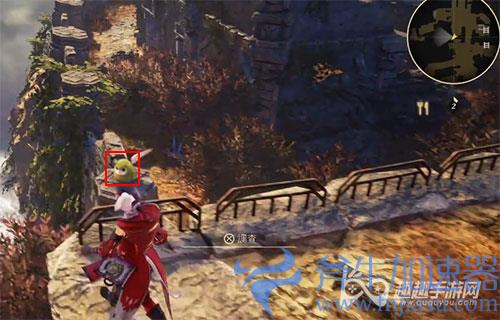 破晓传说猫头鹰位置50