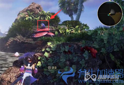 破晓传说猫头鹰位置54